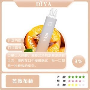 拋棄式電子煙