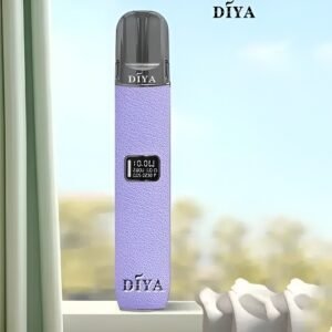 DIYA皮革主機