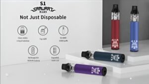 DISPOSABLE BARS 拋棄式電子煙